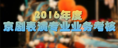 操熟女网站国家京剧院2016年度京剧表演专业业务考...